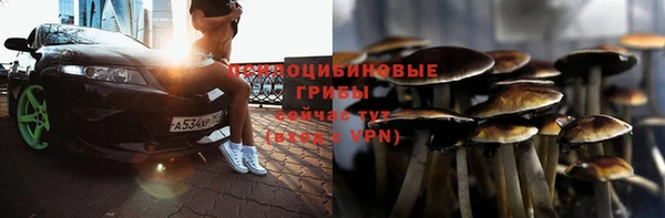 таблы Алексин