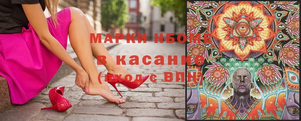ПСИЛОЦИБИНОВЫЕ ГРИБЫ Алзамай