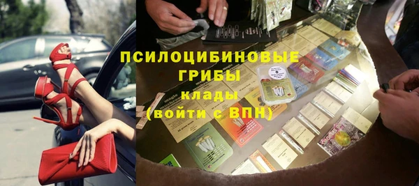 ПСИЛОЦИБИНОВЫЕ ГРИБЫ Алзамай