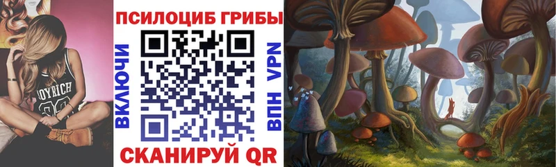 сколько стоит  Солигалич  Галлюциногенные грибы мухоморы 